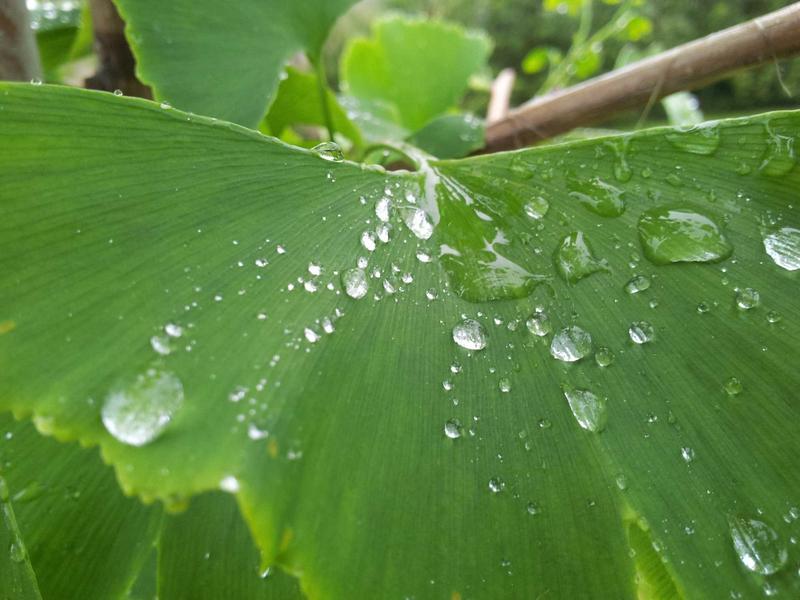 时间晶体<br>qyf5seag.cn 永动四维结构